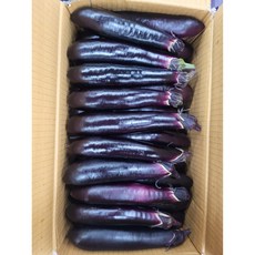 헬퍼마트 가지, 1개, 10개(1.4kg)