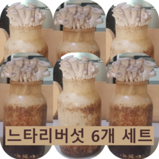농장키트