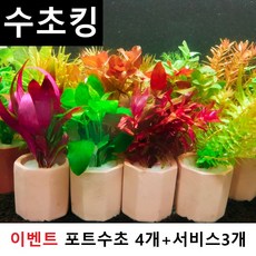 수초맛집 수초킹 키우기 쉬운 포트수초 랜덤 4종 세트 + 서비스(모스볼 마리모 부상초 비료 개운죽 피규어 등), 3개