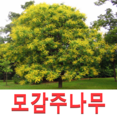 ad7ff988103104899f6d82d08537d6a243d1e37c80a13fa16124467c3c10.png