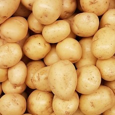 [KT알파쇼핑][팜쿡] 포슬포슬 국내산 감자 2kg 대, 1개, 단품