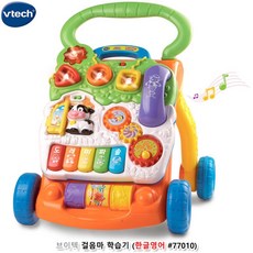 브이텍아이체육관