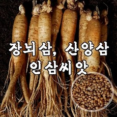 6b7346f6fe9a21d76ea7efe45df94873d3099eea2dcb3c6f46ba39c4bcb0.jpg