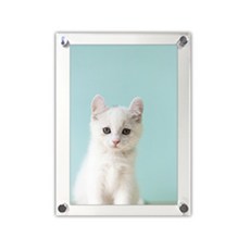 에폭시상도와경화재비율