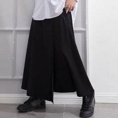 비주류의이의신청