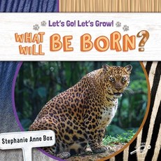 (영문도서) What Will Be Born? Paperback, Discovery Library Jr, English, 9781731652225