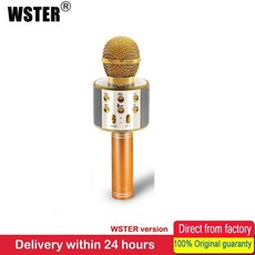 wster마이크