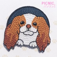 꼼데강아지옷