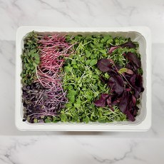 무농약 어린잎 채소 샐러드 모둠 베이비 채소 대용량 1kg, 1개