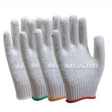 철학자김형철102세