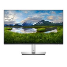 [Dell] DELL P2425H