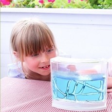 앤트빌(신나는개미탐험)