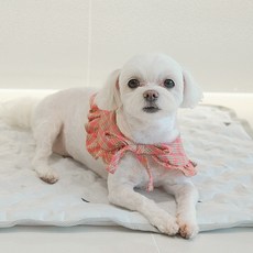 매트연구소