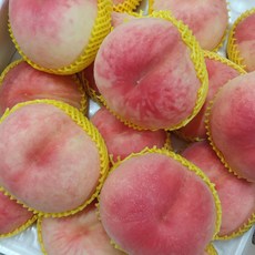 당도좋은 아삭한 제철 딱딱이 복숭아