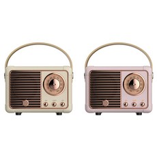 아남레트로스피커