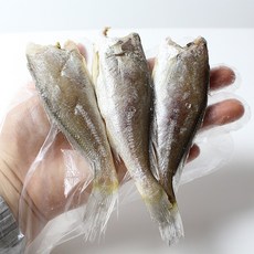 생산자직송 서해안 반건조 두절 참조기 400g+400g팩당1012미