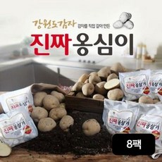 강원도 감자 옹심이 150gX8팩+옹심이 소스 20gX8팩, 8팩