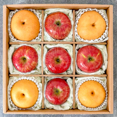 특상품 사과 배 과일 선물세트, 1개, 4.5kg (A세트-사과+배)