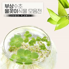 594acc5f250deba4c94bec7db6faa3d6ae6a83b806136607e041dee6e54d.jpg