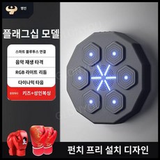 권투펀치 TOP01