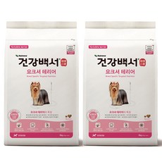 요크셔테리어피지동전