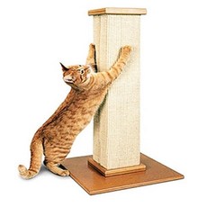 파이오니아스크래쳐