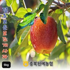 충북원예농협 결초보은 보조개사과 3kgX2박스(총 6kg), 단일옵션 - 사과박스