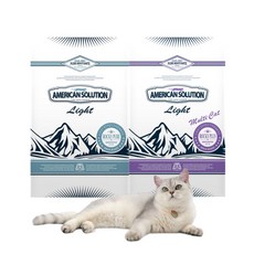 아메리칸솔루션모래