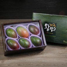 제주왕망고