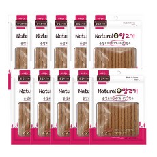 요크셔테리어피지동전