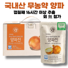 국내산 무농약 양파를 통째로 달여만든 양파진 초록마을, 20개, 100ml