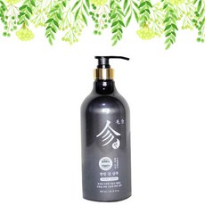 탈모야안녕 한방 진샴푸, 1개, 950ml