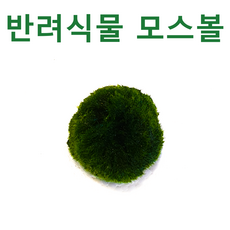 7e68c3acc24803ba31810e0c8bbfeff7e248c8ec9532de93be76e3099f21.png