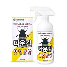 신기패 TOP01