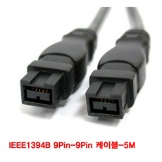 13946pinto9pin