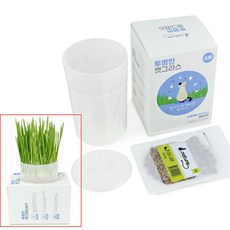 영수네캣그라스