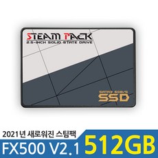 블루트레이더스 STEAM PACK FX500-5G 512GB SSD