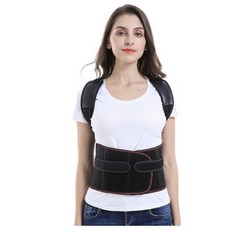 바른자세인간