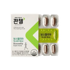 콴첼 보스웰리아 엑스퍼트 액티브 24g, 30정, 1개