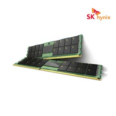 DELL 서버 워크스테이션 램 서버ram ddr5 PC5-4800B-RD0-1010-XT 8G