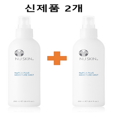 뉴스킨미스트