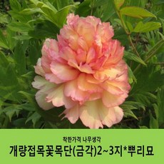 ce070da236f14d31b372468071264788b948ff230ffe37ab0109b17334ca.JPG