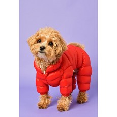 뭉이의 우주 강아지옷 따뜻한 말랑패딩 겨울나기 올인원, 레드