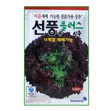 가을상추