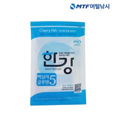 여의도한강요트
