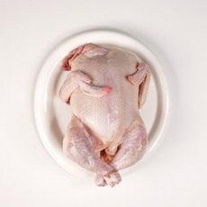 국내산 삼계닭 백숙용 삼계탕용 냉장9호, 1개, 800g