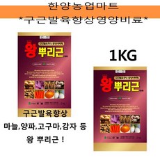 용성인비