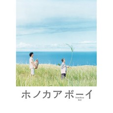하와이안레시피