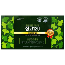 JW중외제약 징코240 면역력&혈행개선 영양제 120정(4개월분), 30정, 4개