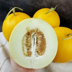 [식품의즐거움] 산지직송 경북고령 성산메론 양구메론 5kg(3~7개내외), 상세 설명 참조